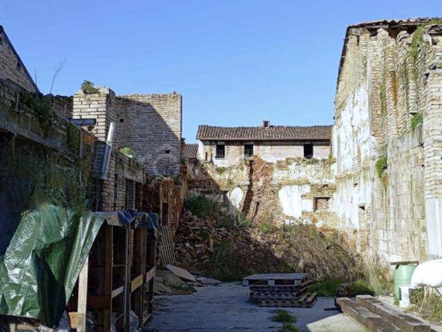 immagine annuncio 3 di 11
