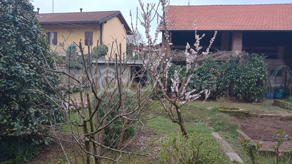 immagine annuncio 7 di 15