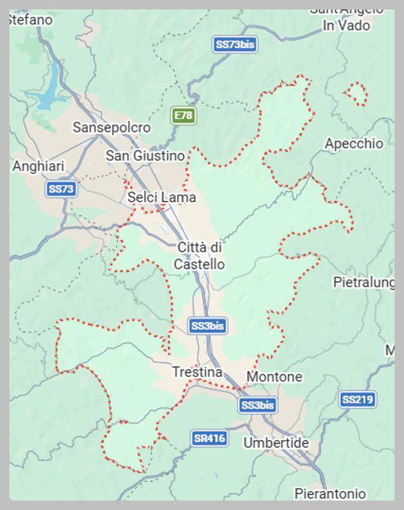 immagine annuncio 14 di 15