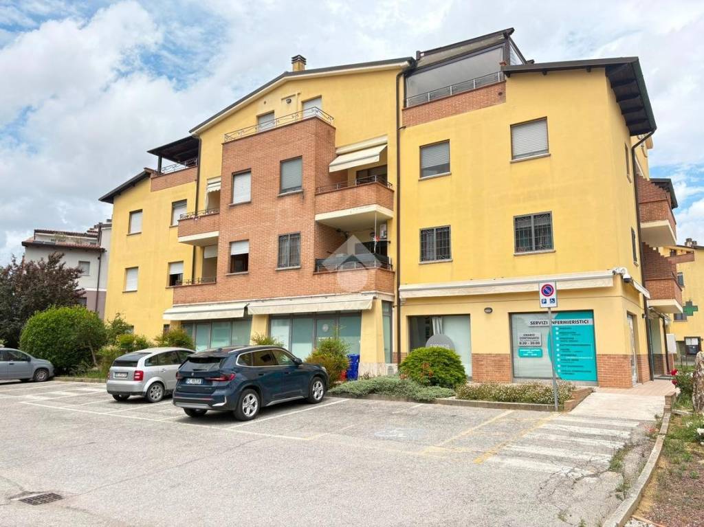 immagine annuncio 1 di 11