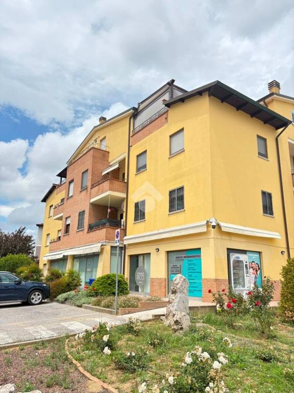 immagine annuncio 3 di 11