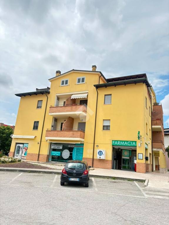 immagine annuncio 4 di 11