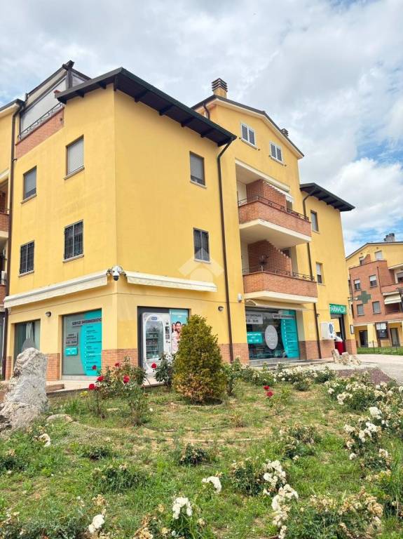 immagine annuncio 6 di 11