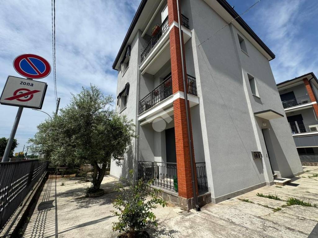 immagine annuncio 10 di 11