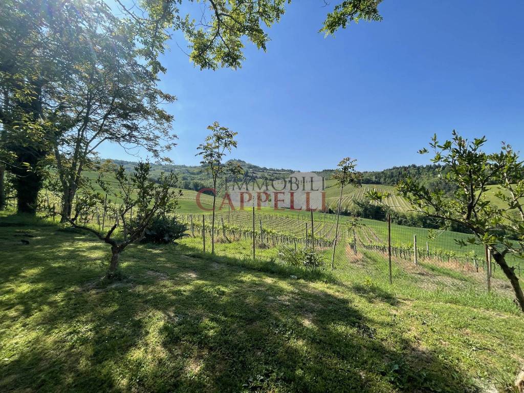 immagine annuncio 13 di 14