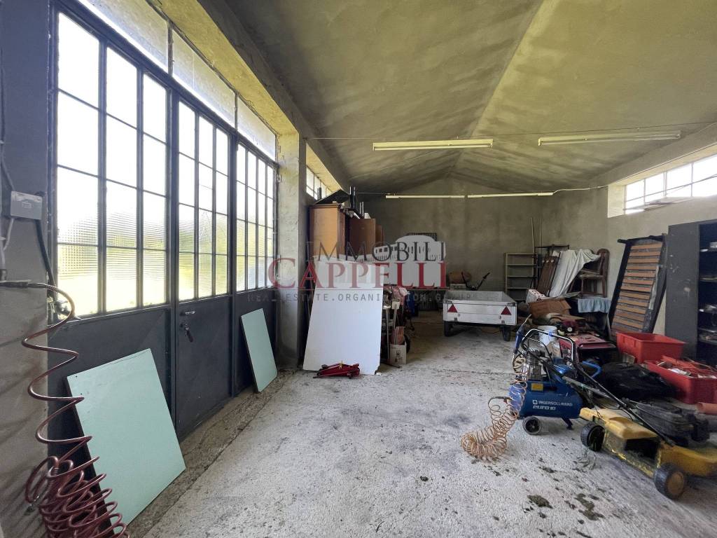 immagine annuncio 5 di 14