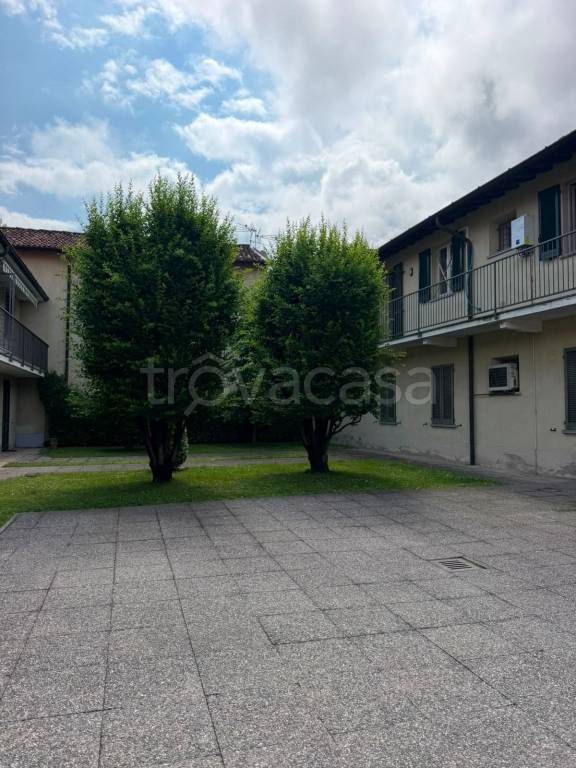 immagine annuncio 1 di 14