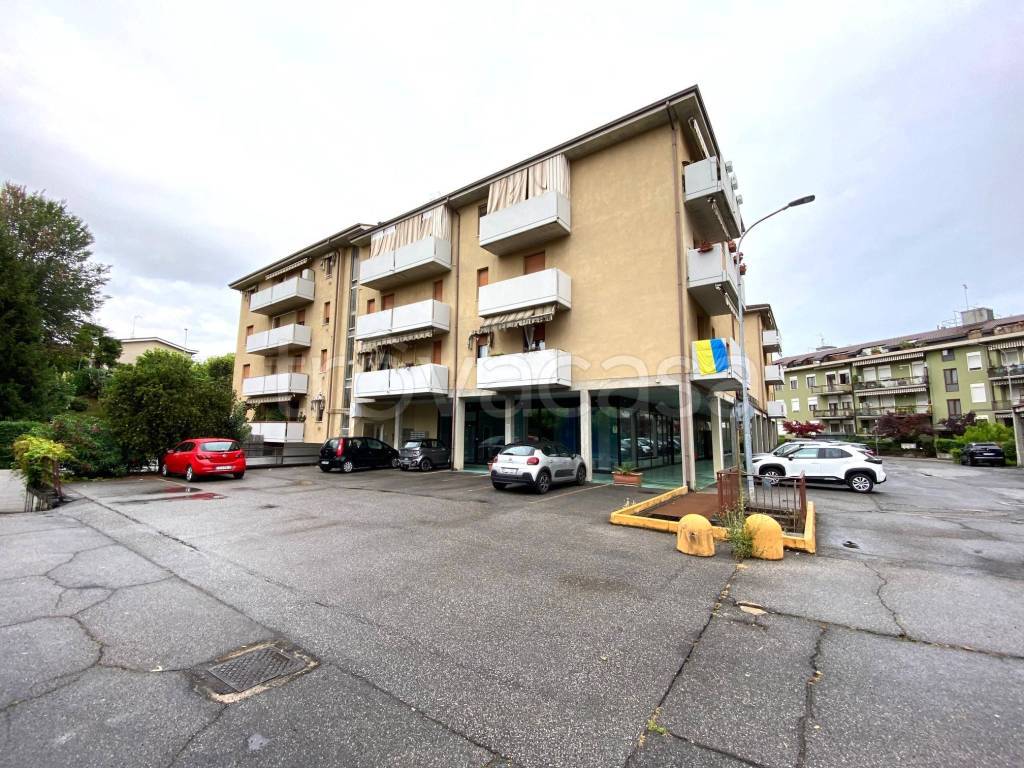 immagine annuncio 12 di 15