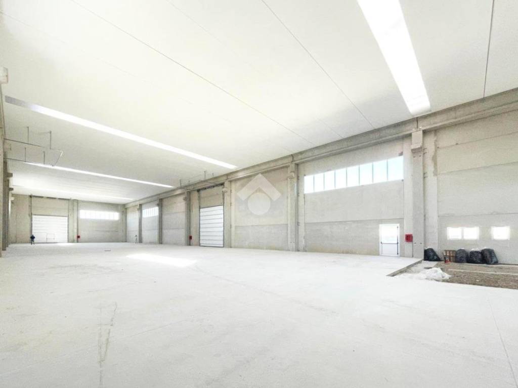 immagine annuncio 5 di 7