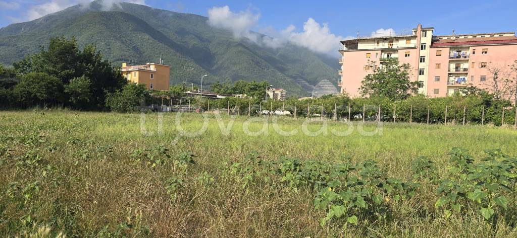 immagine annuncio 5 di 6