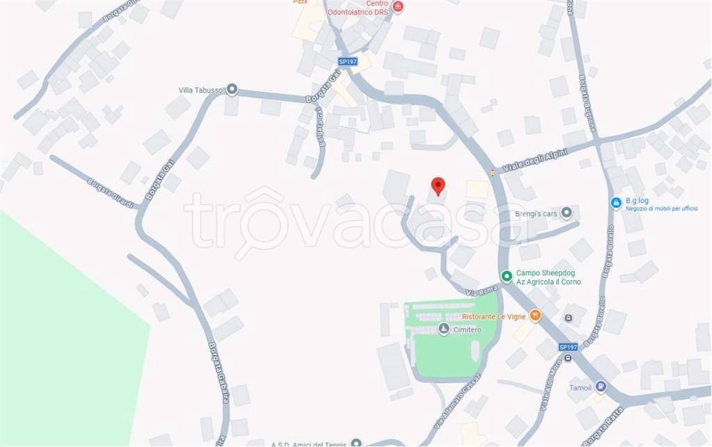 immagine annuncio 5 di 12