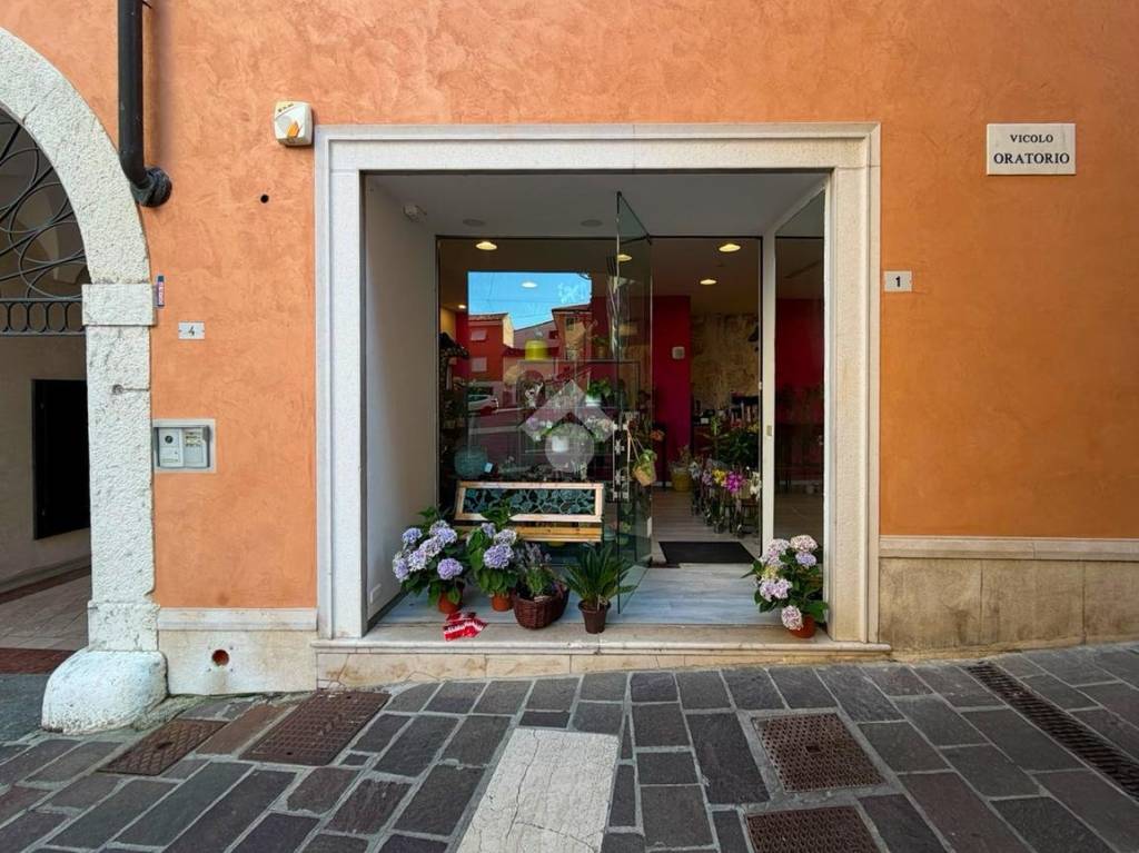 immagine annuncio 6 di 15