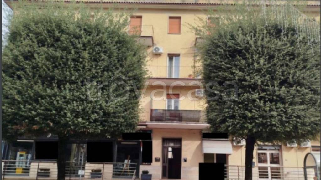 immagine annuncio 6 di 11