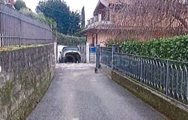 immagine annuncio 2 di 4