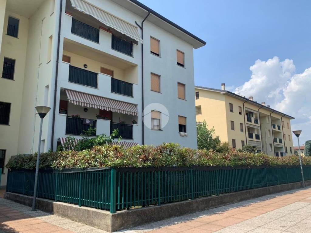 immagine annuncio 10 di 15