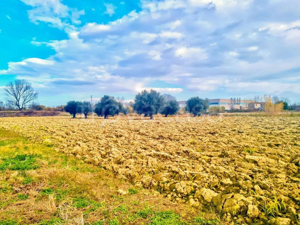 immagine annuncio 1 di 6
