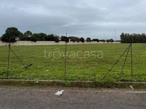 immagine annuncio 1 di 4