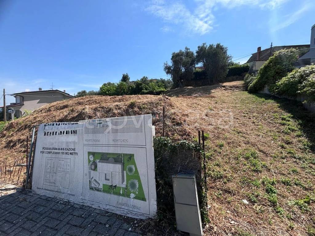 immagine annuncio 8 di 12