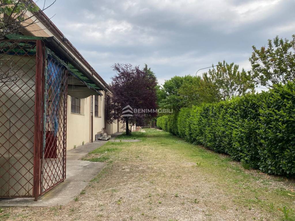 immagine annuncio 7 di 12