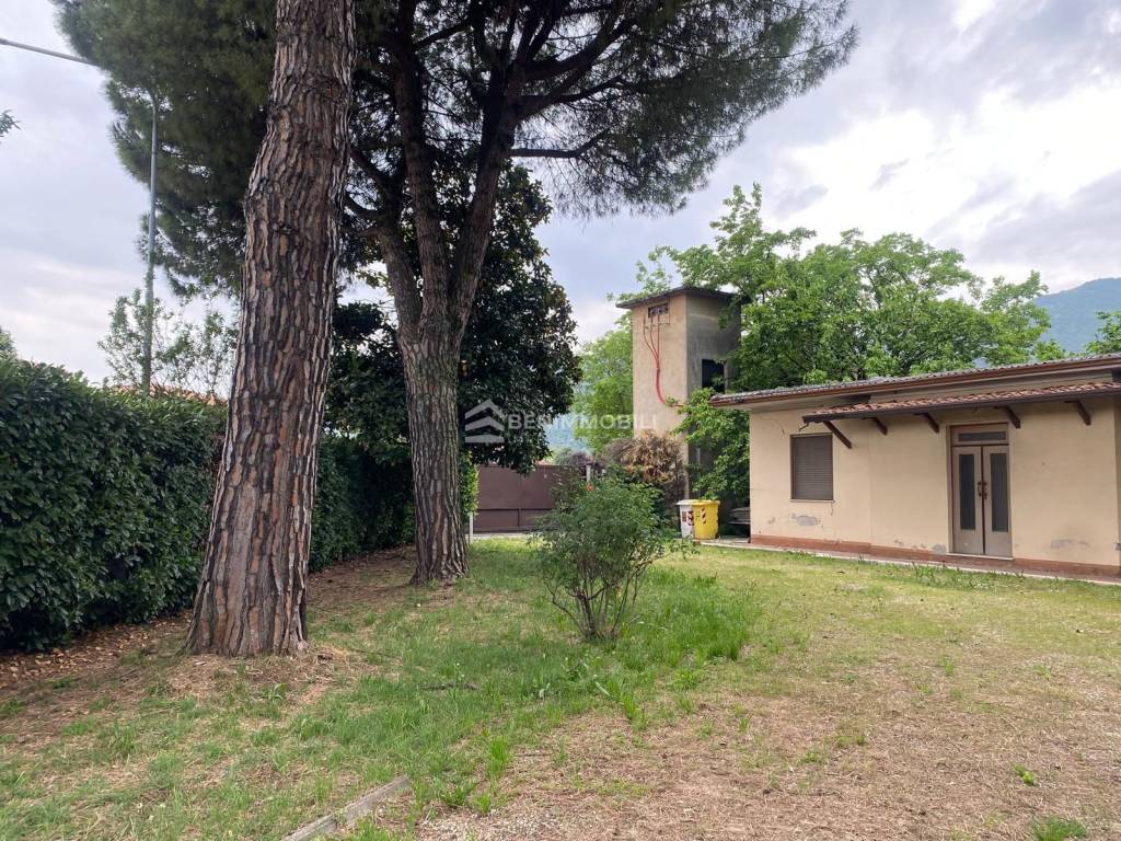 immagine annuncio 8 di 12