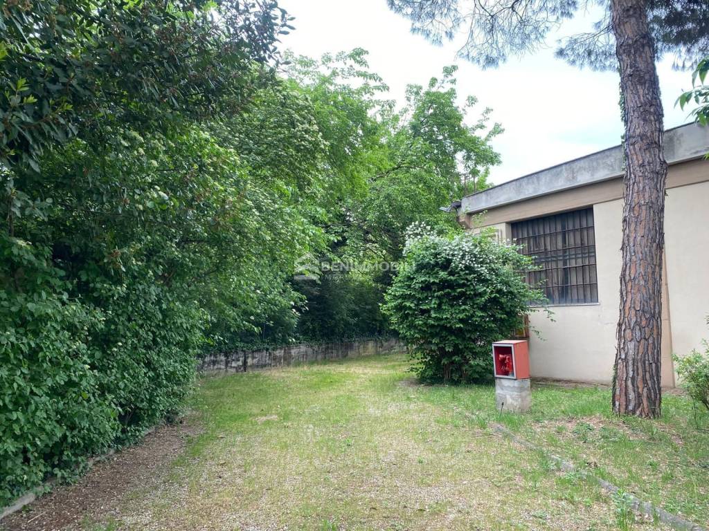 immagine annuncio 9 di 12