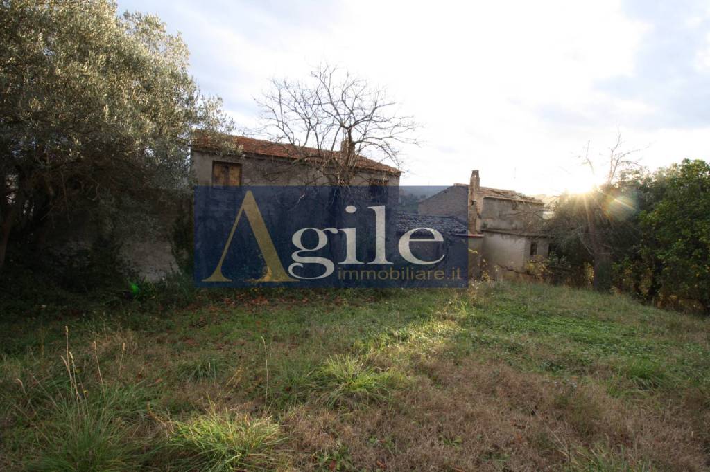 immagine annuncio 4 di 7