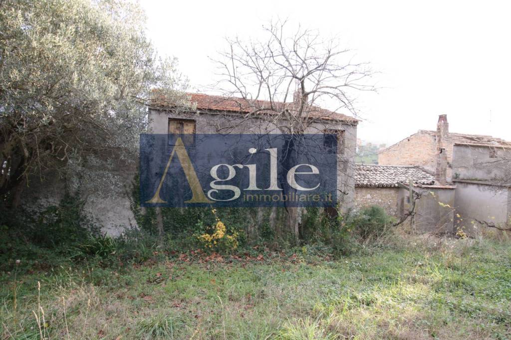 immagine annuncio 5 di 7