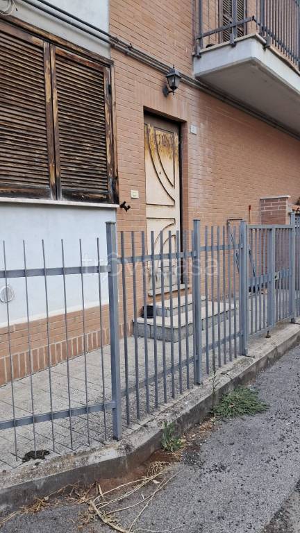 immagine annuncio 1 di 14