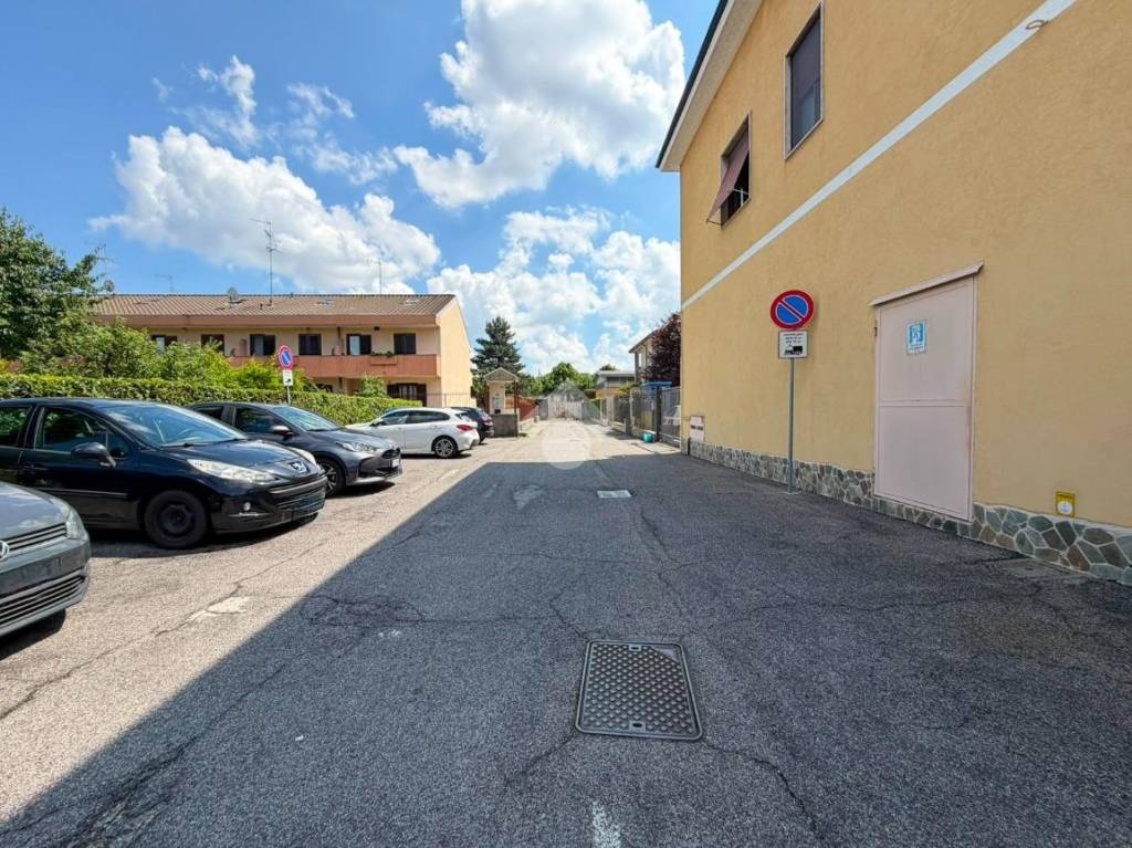 immagine annuncio 12 di 15