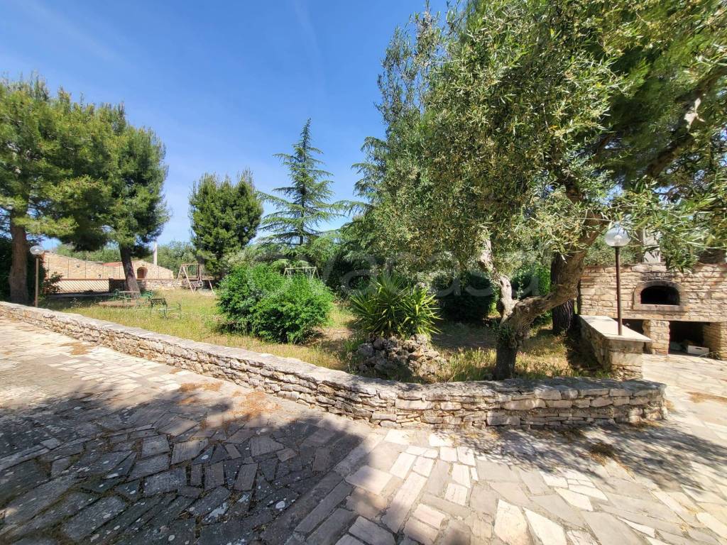 immagine annuncio 1 di 8