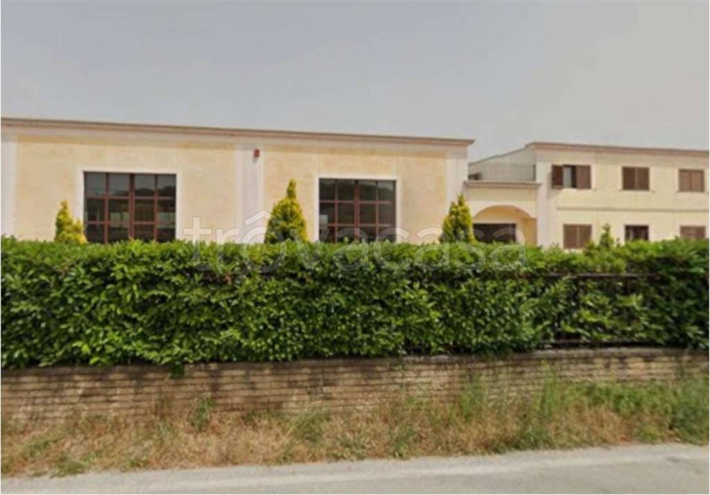 immagine annuncio 9 di 13