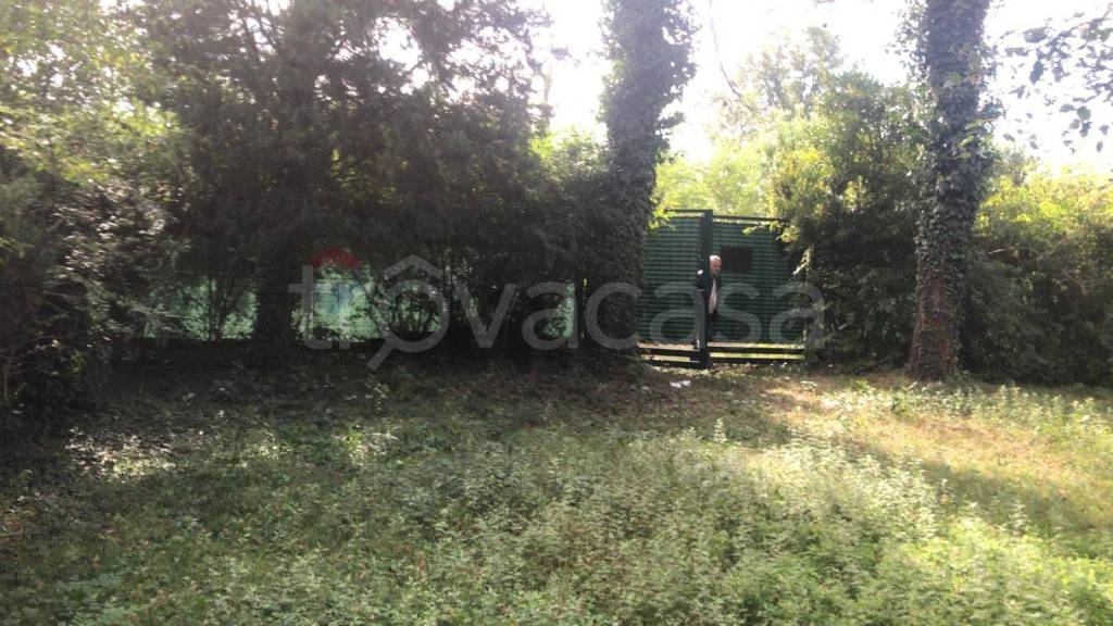 immagine annuncio 2 di 13