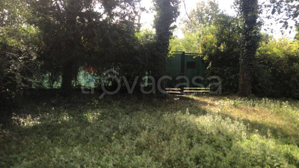 immagine annuncio 4 di 13