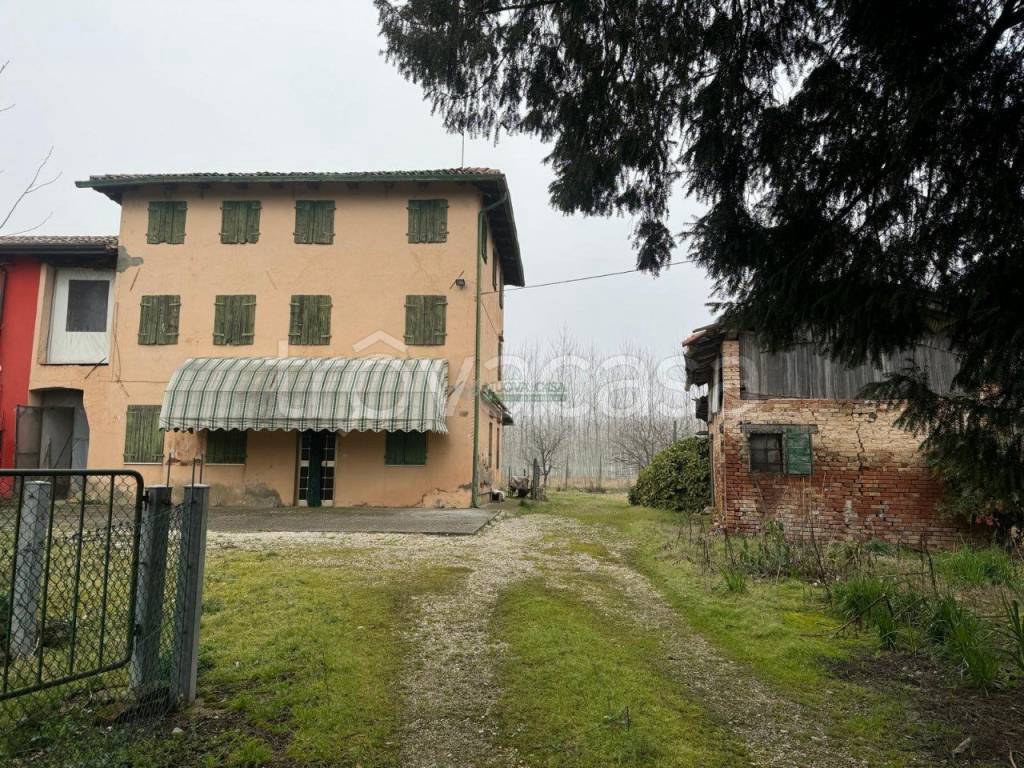 immagine annuncio 3 di 9
