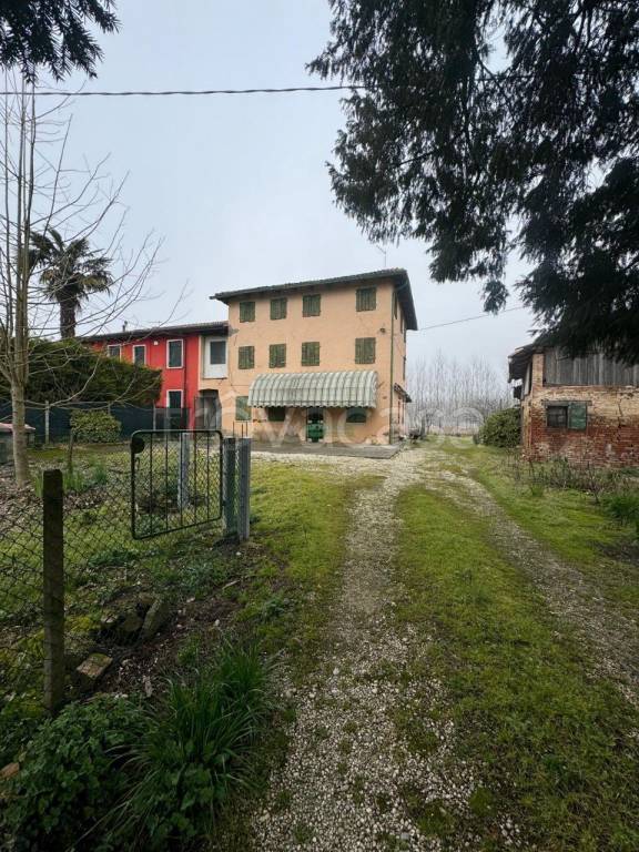 immagine annuncio 4 di 9