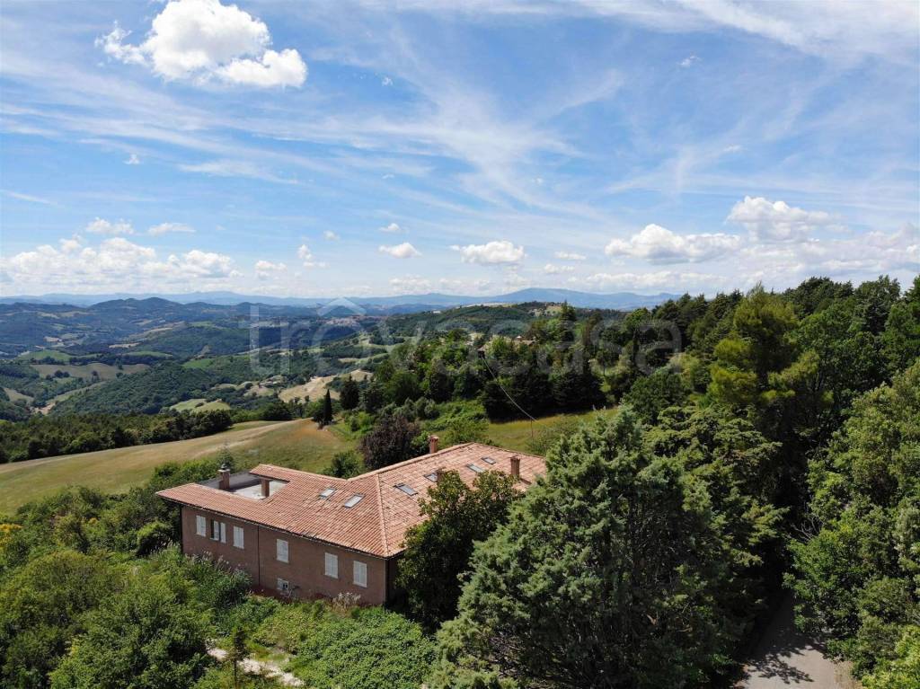 immagine annuncio 7 di 14
