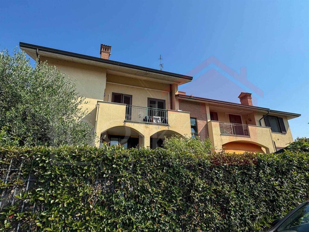 immagine annuncio 11 di 14