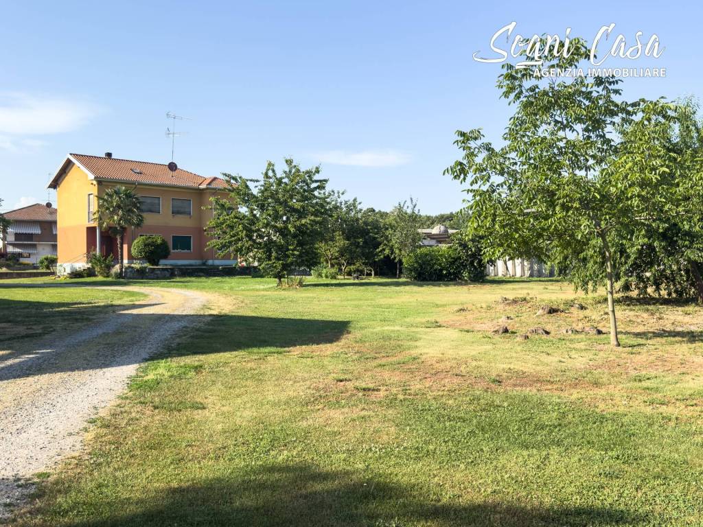 immagine annuncio 4 di 15