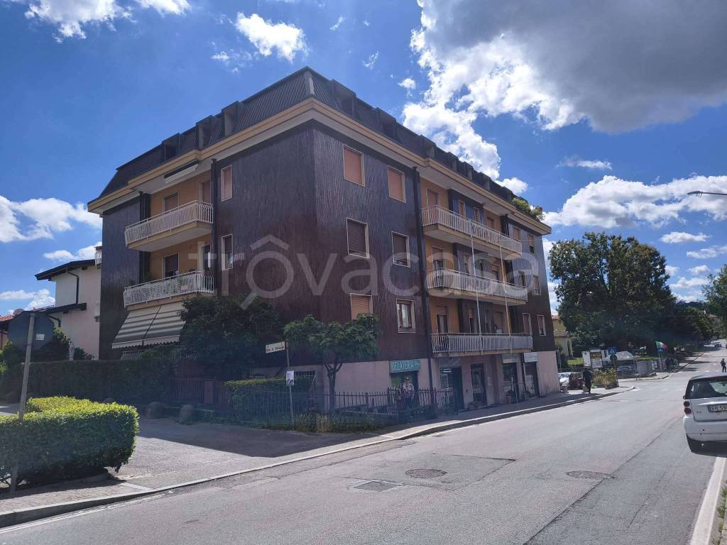 immagine annuncio 3 di 7