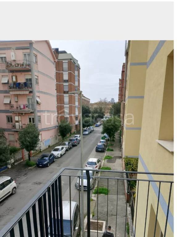 immagine annuncio 6 di 8