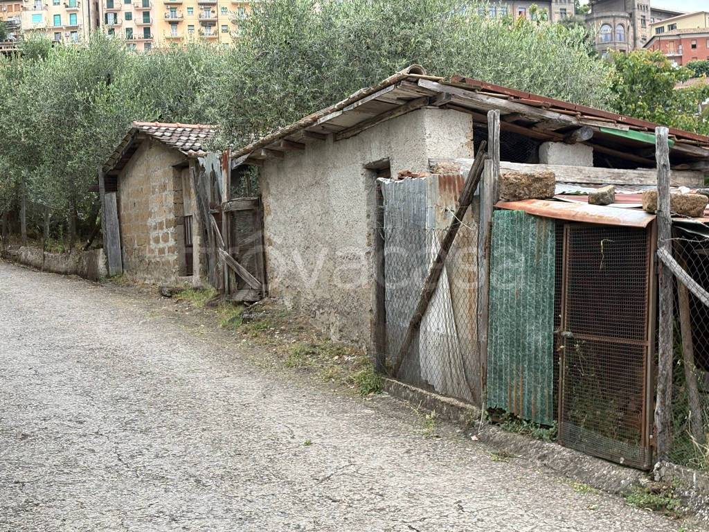 immagine annuncio 9 di 13