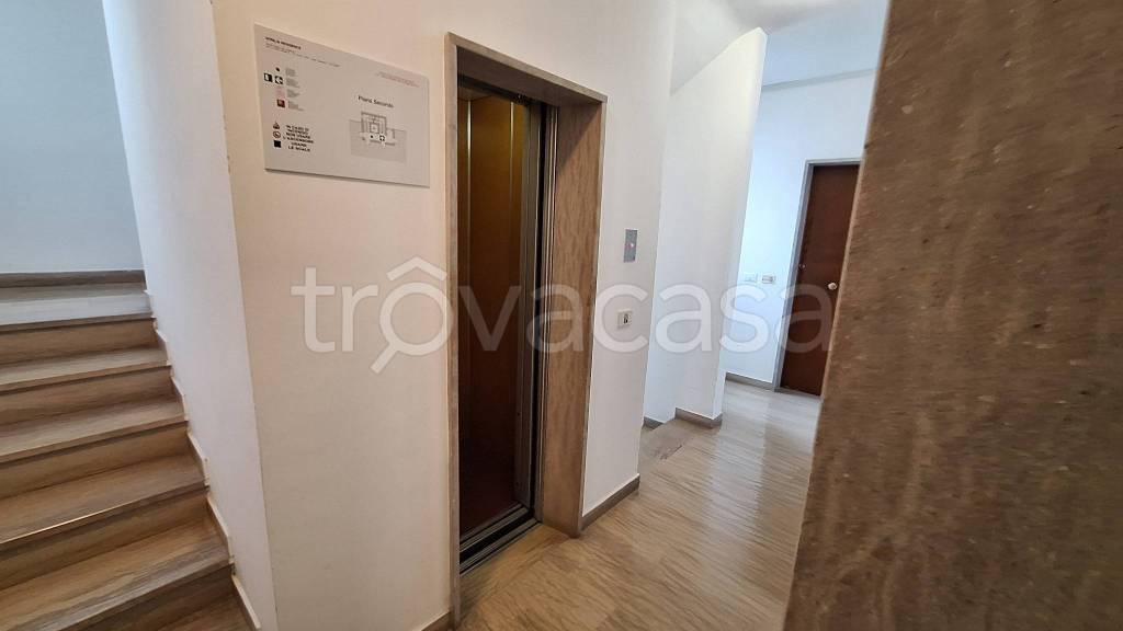 immagine annuncio 10 di 14
