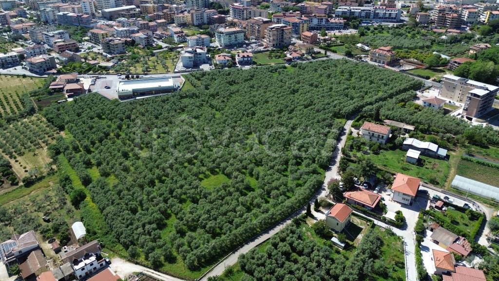 immagine annuncio 6 di 8