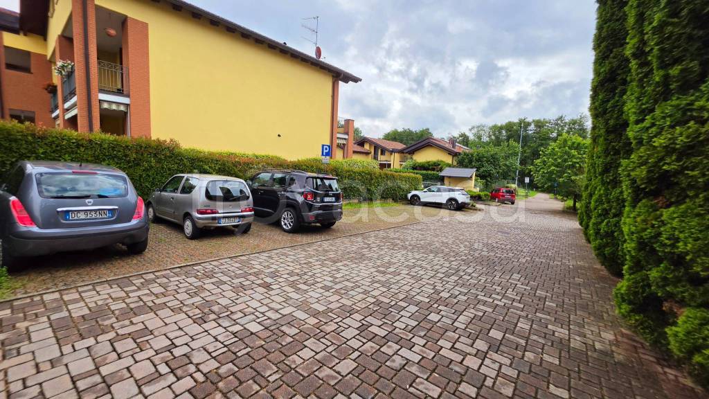immagine annuncio 11 di 15