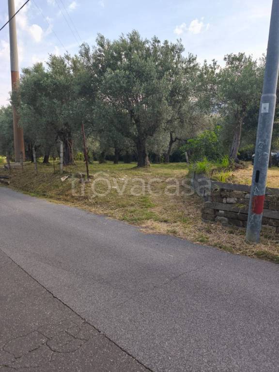 immagine annuncio 8 di 11