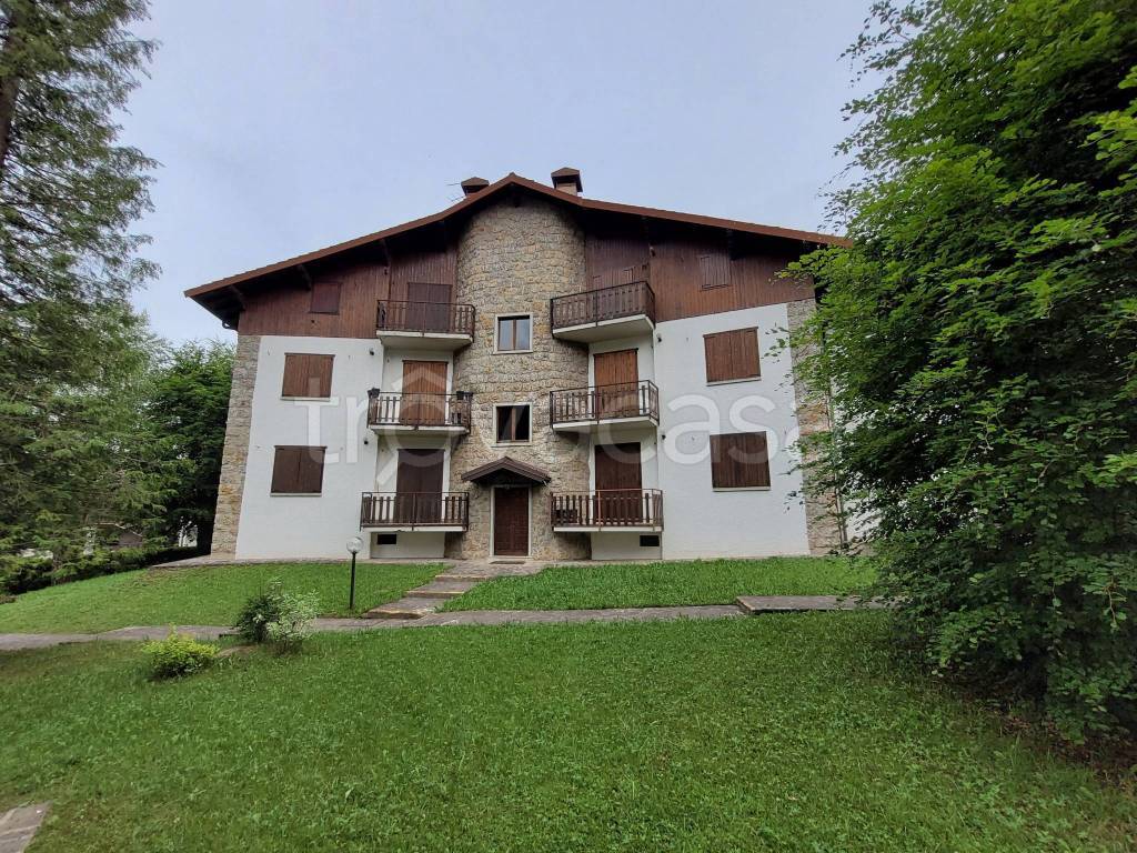 immagine annuncio 12 di 13