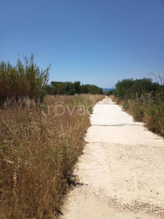 immagine annuncio 3 di 8