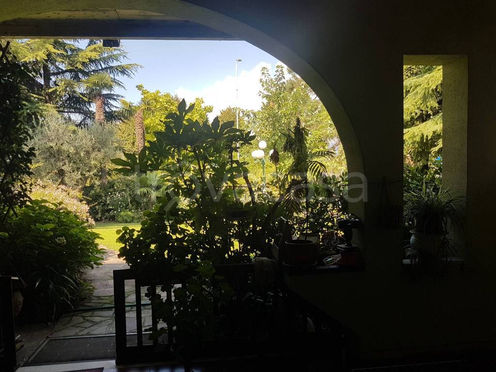 immagine annuncio 3 di 8