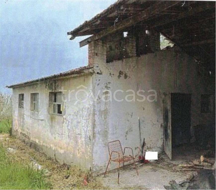 immagine annuncio 5 di 14