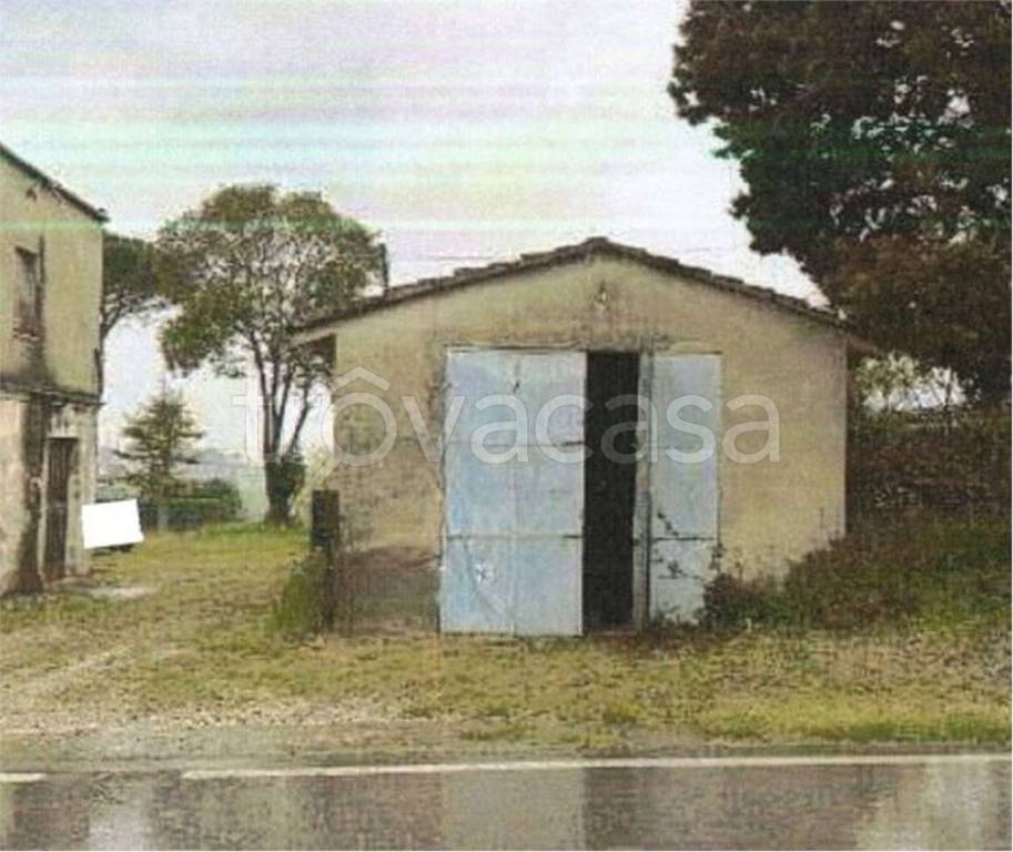 immagine annuncio 8 di 14
